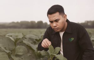 psikometrik penolong pegawai pertanian