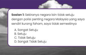 Sekiranya negara lain tidak setuju dengan polisi penting negara Malaysia yang saya sendiri kurang faham, saya tidak semestinya menyokong pendirian negara saya.